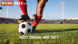 Kèo Draw No Bet Là Gì? Cách Chơi Kèo An Toàn Cho Tân Thủ