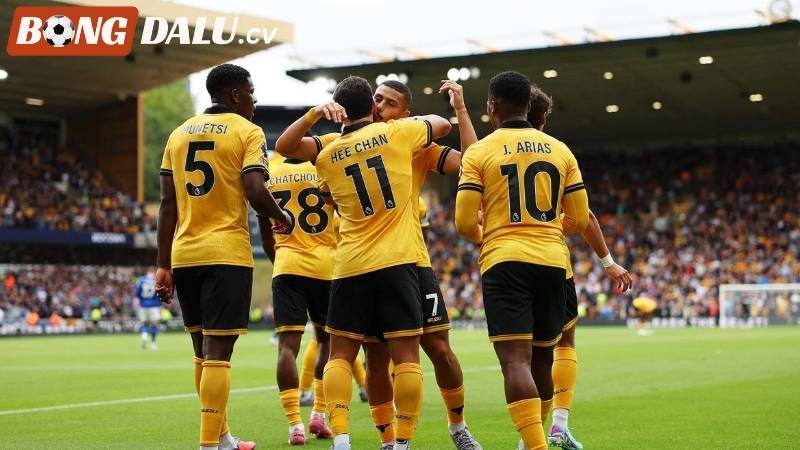 Nguyên nhân cho sự thảm hại của Wolverhampton