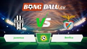 Soi kèo bóng đá Juventus vs Benfica 03h00 ngày 22/01/2026 – Champions League