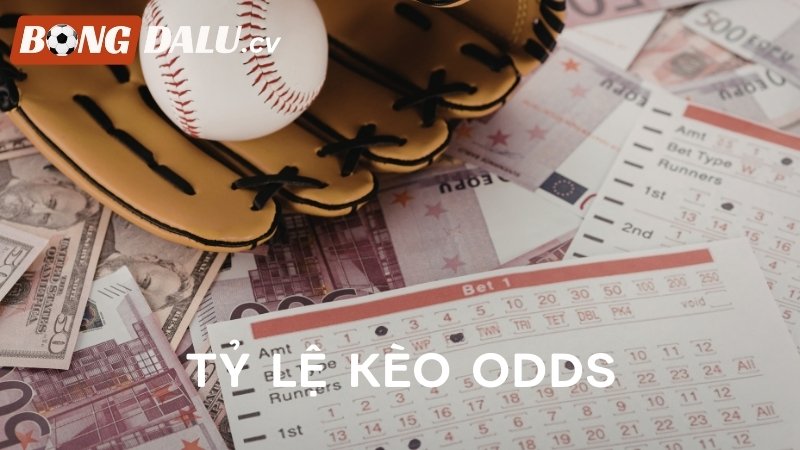 Tỷ Lệ Odds Là Gì? Tất Tần Tật Về Kèo Odds Trong Bóng Đá