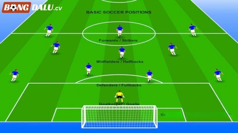 Vai trò của tiền vệ trung tâm trong sơ đồ đội hình