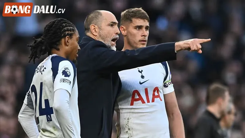 Giới thiệu đôi nét về CLB Tottenham Hotspur