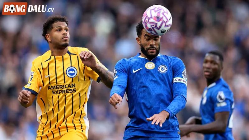 Phong độ gần đây của Brighton vs Chelsea